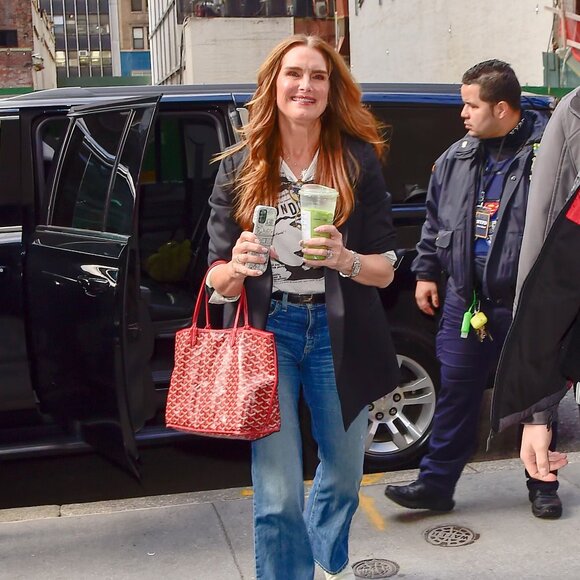 RARE Authentic Goyard Goyardine Saint Louis PM Red Shoulder Tote Bag & Pouch - Picture 3 of 16